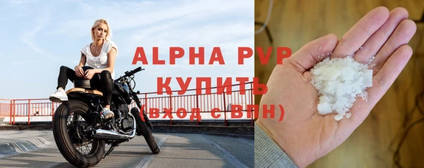 дмт Вяземский