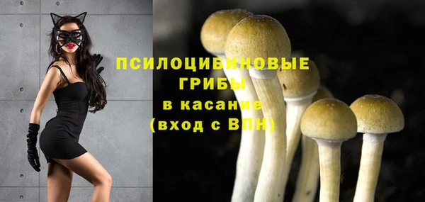 хмурый Вязьма