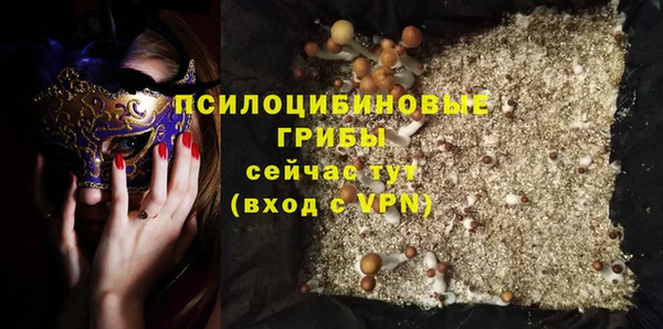 PSILOCYBIN Волоколамск