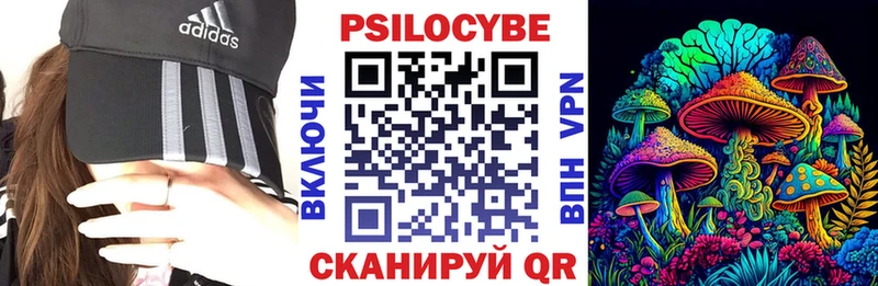 как найти наркотики  Калач-на-Дону  kraken ССЫЛКА  Псилоцибиновые грибы Psilocybe 
